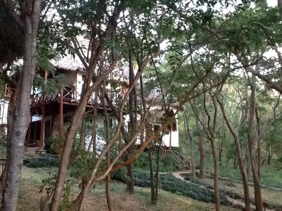 Tuani Ecolodge Тола Екстер'єр фото